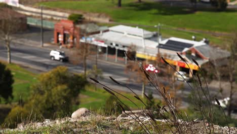 vehículos que pasan por una zona cubierta de hierba