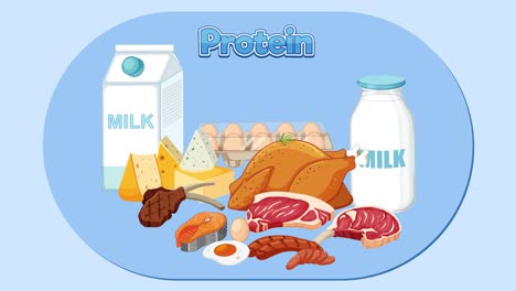 illustration of various protein-rich foods