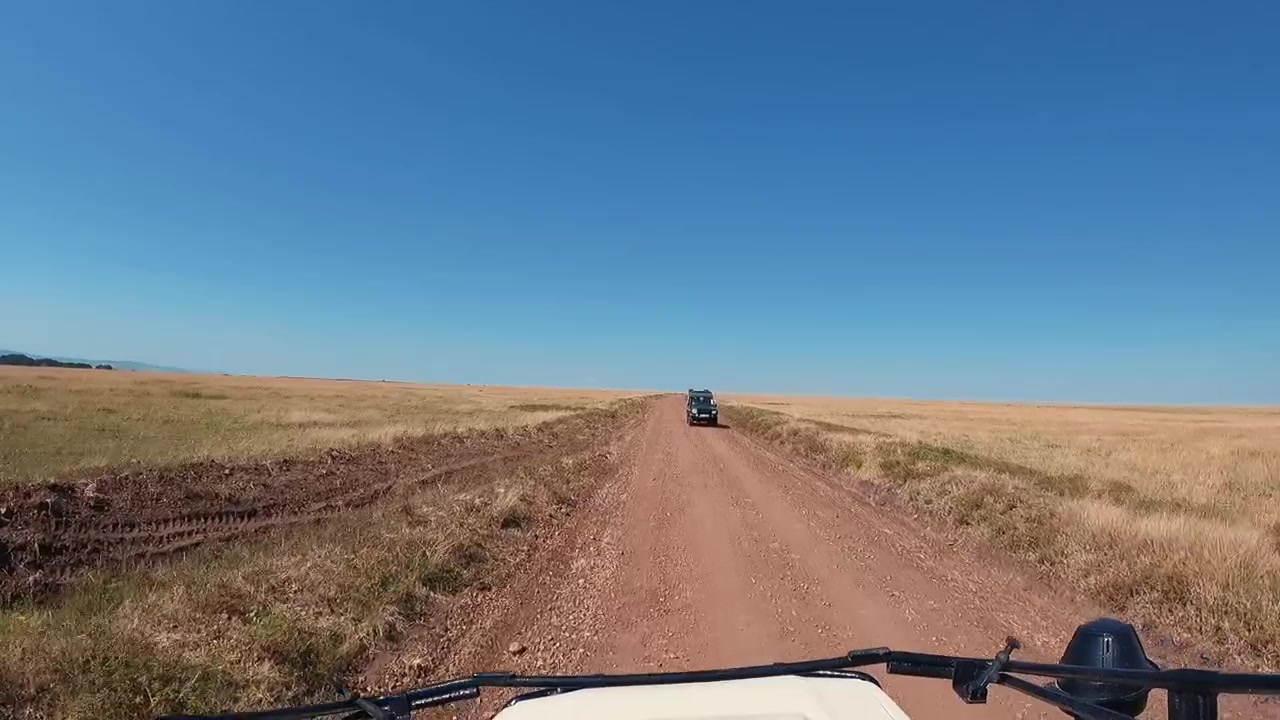 Una ripresa in soggettiva da un veicolo safari che esplora la Riserva Nazionale Masai Mara