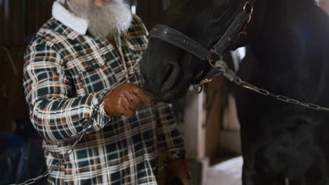 person taking care of animal indoors closeup