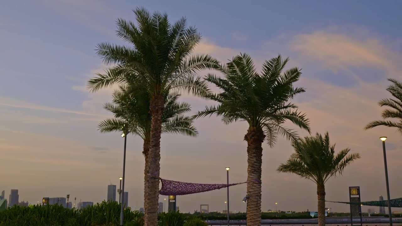 Palme davanti a un paesaggio urbano 2