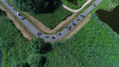 group of cyclists biking on narrow curved trail through vegetation at goudse hout in gouda, netherlands