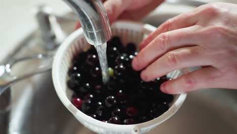 close up of hand holding white basket filled with ripe blackberries under running tap water, gently shifting some of berries for thorough rinsing