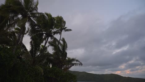 Dramático-Paisaje-Cambiante-Con-Cocoteros-Meciéndose-En-El-Viento-En-Una-Isla-Tropical