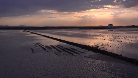 Hermosos-Reflejos-De-Luz-De-Campos-De-Arroz-Y-Arrozales-Cerca-De-La-Albufera,-España-6