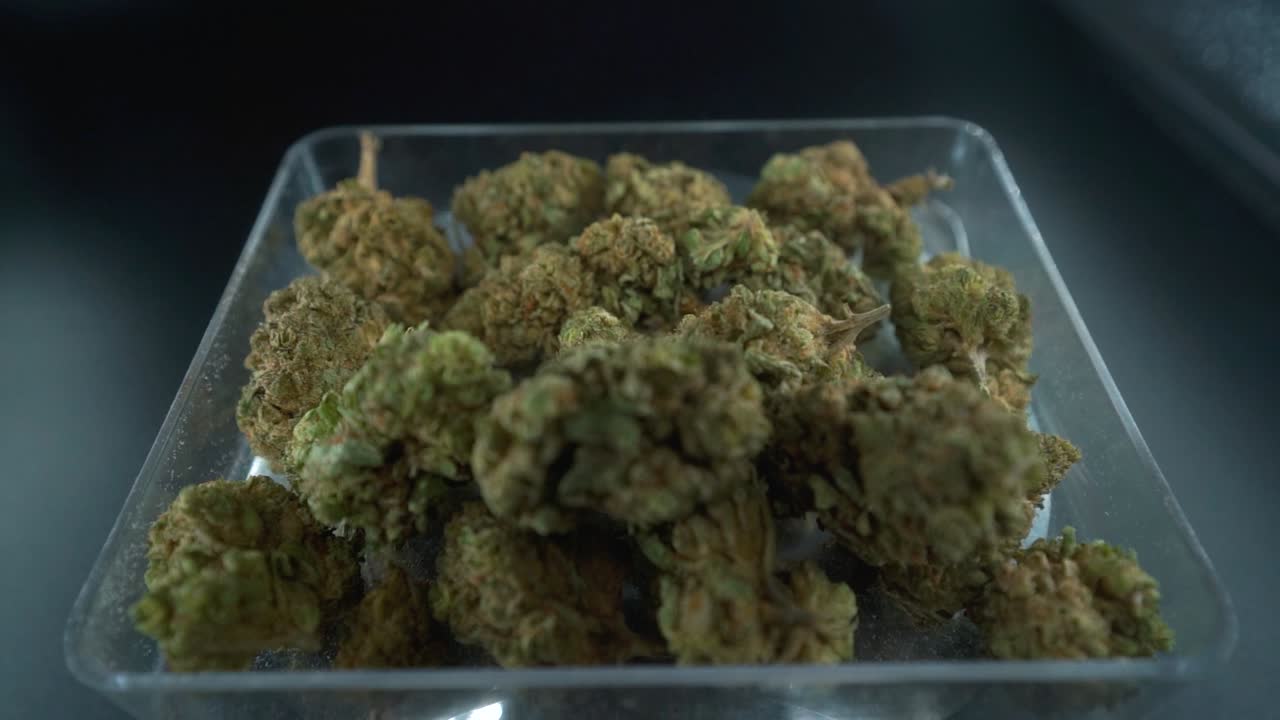 A close up detailed crane zoom out shot of a cannabis plant, marijuana flower in a clear plate, hybrid strains, Indica and sativa, 120 fps slow motion Full HD, cinematic studio lighting
