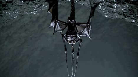 strange creature hanging in a cave
