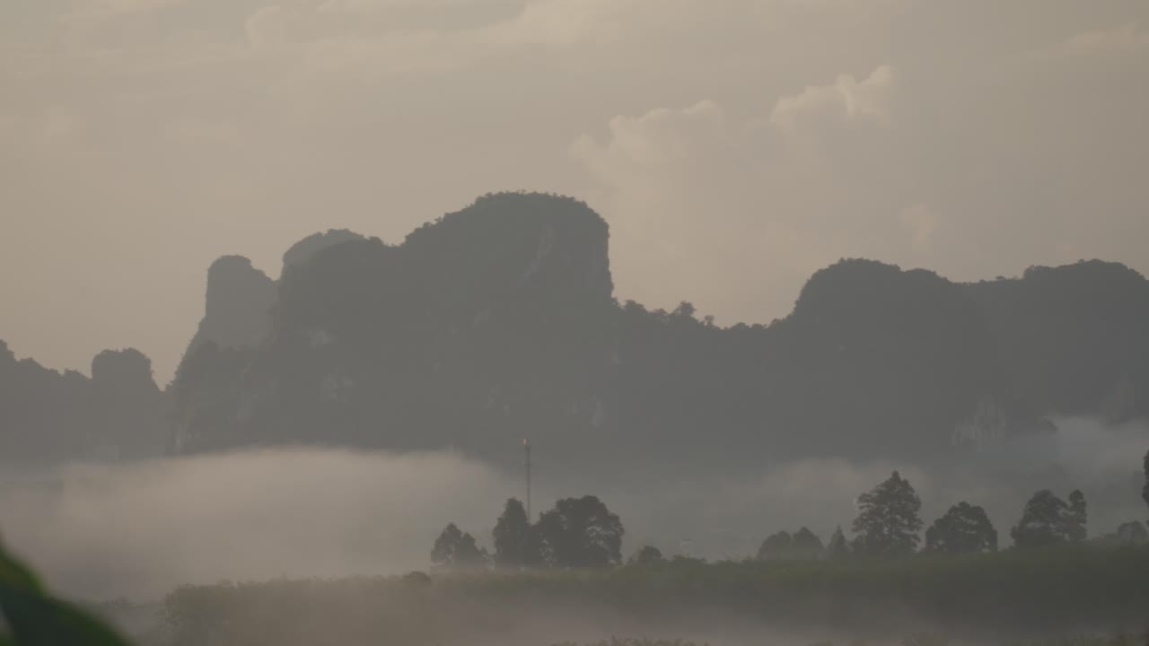 안개가 자욱한 산 풍경