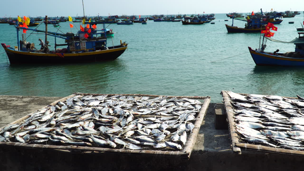 secado de pescado bajo el sol junto al puerto oceánico en vietnam