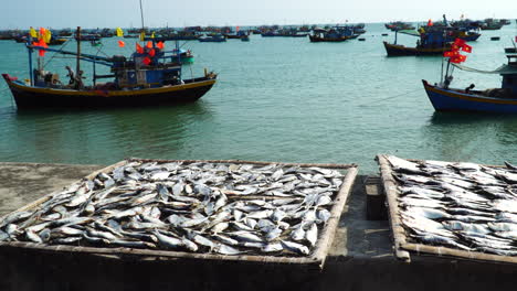 fish drying under the sun by ocean harbor in vietnam