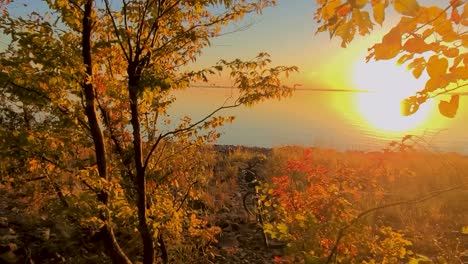 pov golden hour fall sunset walking through the