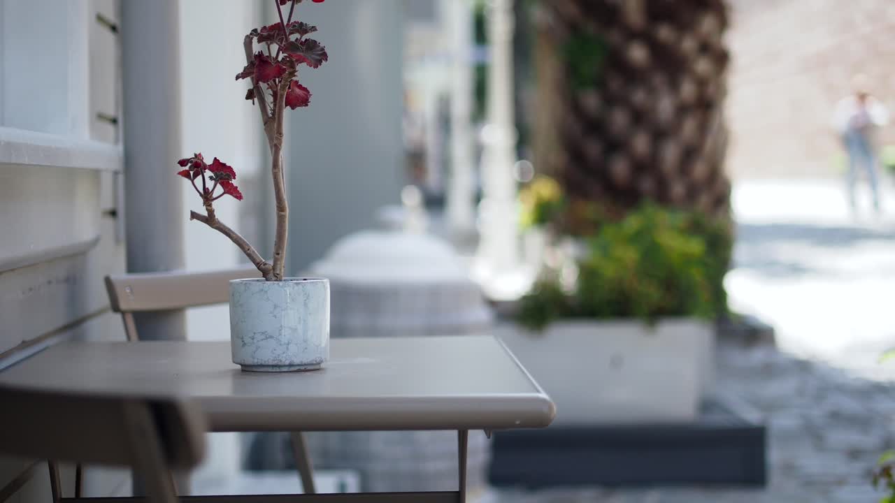 市内通りの屋外カフェ