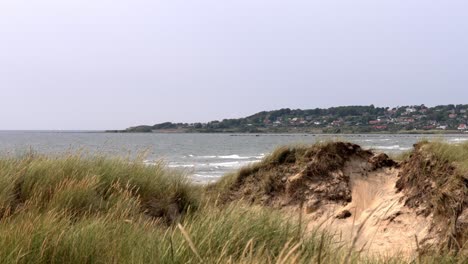 a serene swedish beach with the sun rising over tall grass on the left and a sandy path on the right. ocean waves roll in the middle distance, with a distant peninsula visible in the background.