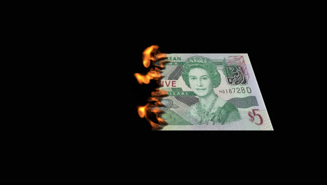 burning eastern caribbean five-dollar bill