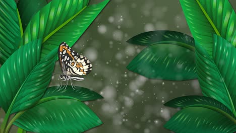 butterfly flutters among lush green leaves and mist