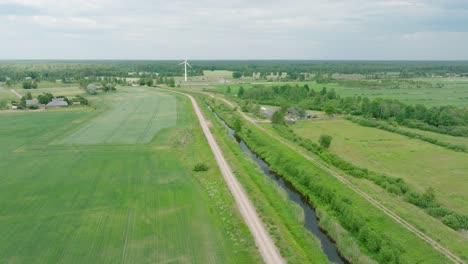 Aerial-establishing-view,-ripening-grain-field,-organic-farming,-countryside-landscape,-production-of-food-and-biomass-for-sustainable-management,-sunny-summer-day,-drone-shot-moving-forward-tilt-down