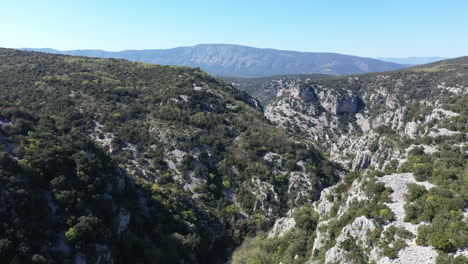 Natural-regional-park-south-of-France-aerial-shot-low-trees-vegetation