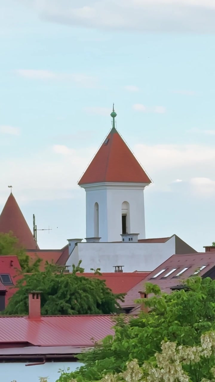 Torres históricas com telhados vermelhos elevando-se acima da antiga e frondosa Kranj, Eslovênia, plano de fundo vertical.