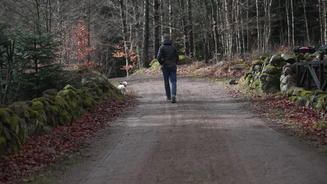 Un uomo cammina con il suo Jack Russell su un sentiero nella foresta rurale