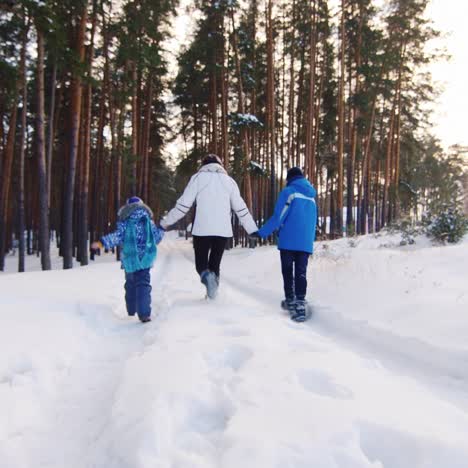 Mutter-Geht-Spielerisch-Mit-Kindern-Im-Schnee-01