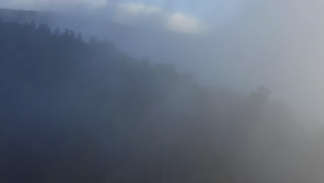 Drohnen-Dolly-Ansicht-Des-Nebels-über-Den-Bäumen-Auf-Dem-Vulkan-Haleakala-Auf-Maui,-Hawaii