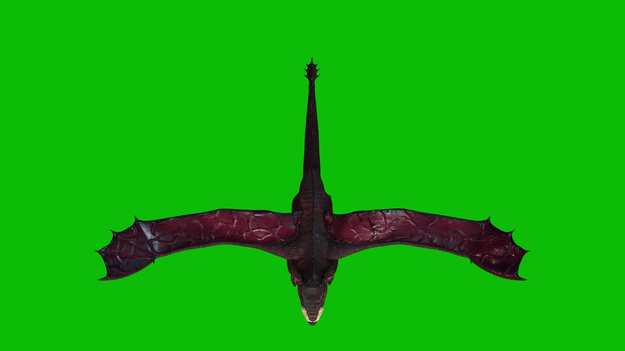 Dragon fantasy creature, monster, flying idle on green screen, top view seamless loop 3D animation.
