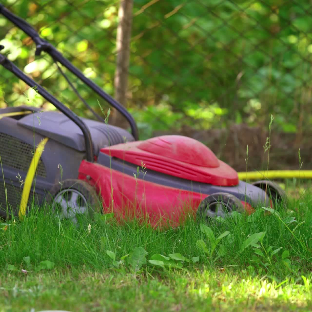 Garden equipment. Worker cutting grass with electric lawn mower. Lawn mower on green grass at working process.