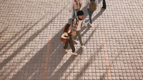 amigos de la universidad, del campus