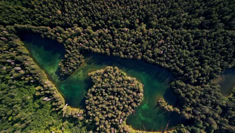 drone view of antu sinijarv in estonia highlights its incredible blue water and forest edges as natural sunlight reveals the lake’s clarity in a tranquil and undisturbed landscape