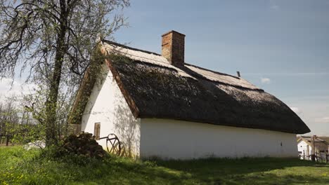whitewashed house with thatched roof, chimney and woodpile in spring