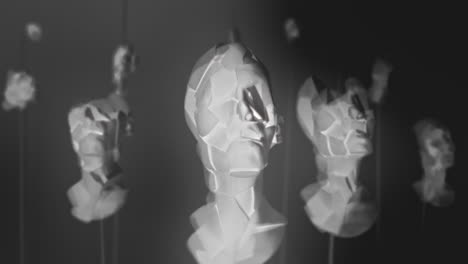 broken mannequin head shells in xray