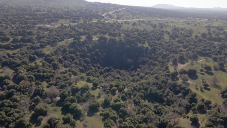 drone panning view of volcanic crater overgrown with trees, big jupta, israel