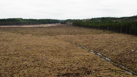 Tiefflug-über-Torfland-Oder-Feuchtgebieten,-Kohlenstoffsenke-Szene,-Luftaufnahme