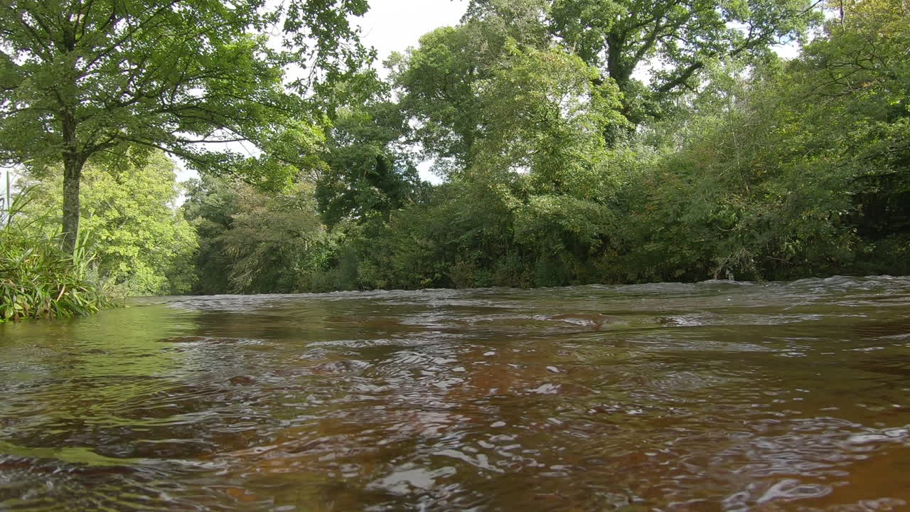Immerso sott'acqua sotto la superficie del fiume Dart in piena e in rapida corrente