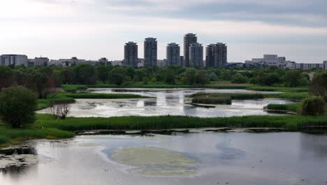 Imágenes-Aéreas-Cinematográficas:-Primavera-Sobre-Los-Lagos-Del-Delta-De-Vacaresti,-Pájaros-En-Vuelo,-Bucarest,-Rumania