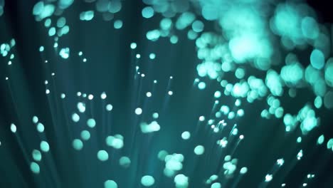 fiber optics light display