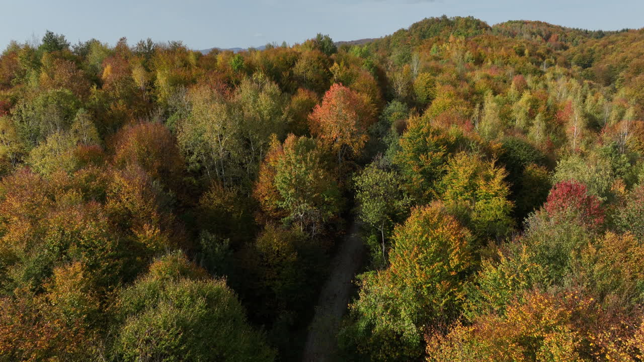 Aerial view of vibrant autumn foliage covering a mountainous landscape, showcasing a stunning array of red, orange, yellow, and green trees under a bright blue sky