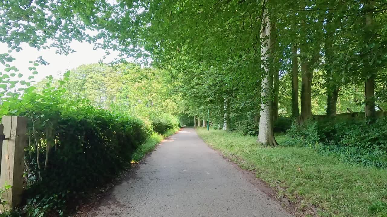 울창한 초록색 주변을 평화롭게 산책