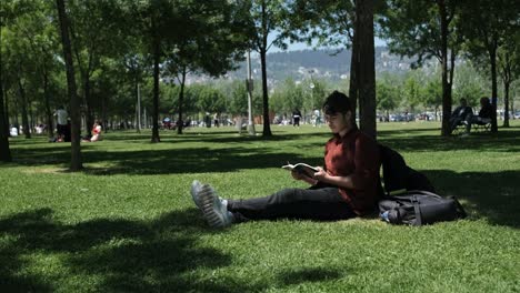 reading novel on grass