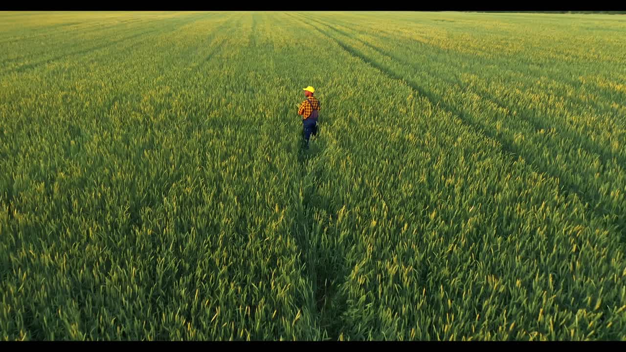 Farmer Working in Wheat Field