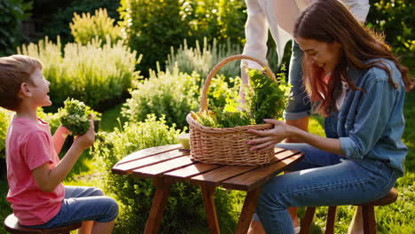 family harvesting herbs in the garden