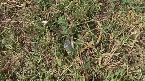 a field is full of litter, used plastic cups, cigarette butts and other abandoned rubbish