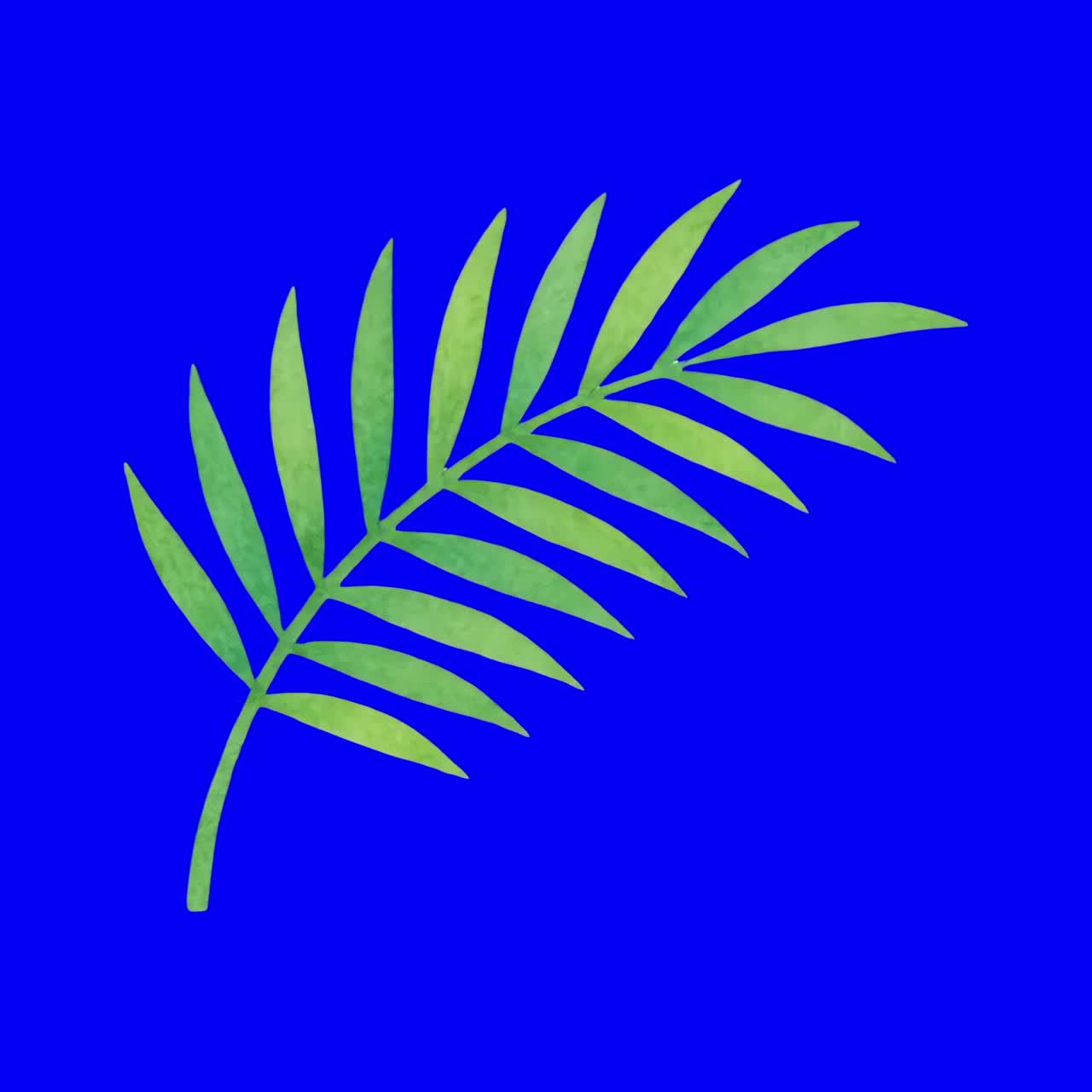 Green leaf animation, transparent 4K video, green screen