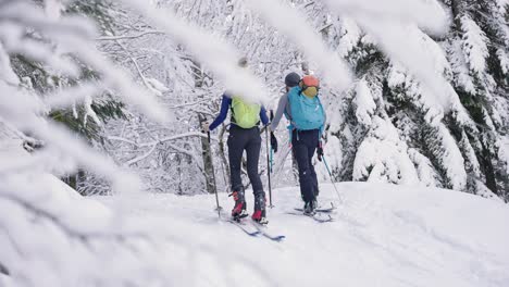 skier man and woman trekking together in white snow forest