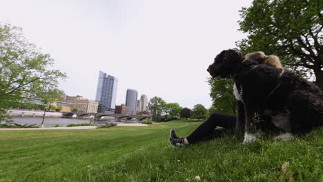 handheld wide shot of a young woman sitting in a city park with her dog