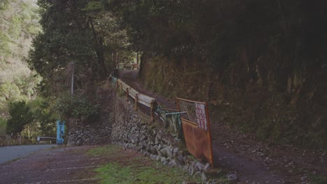 peaceful path winding through takaosan mountain in japan, surrounded by lush greenery and rustic stone walls.