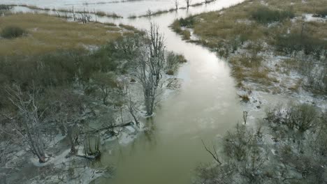 Vista-Aérea-De-Gran-Cormorán-Vacío,-Día-Soleado-De-Invierno,-árboles-Muertos,-Río-Barta,-Amplio-Disparo-De-Drones-Avanzando,-Inclinado-Hacia-Abajo