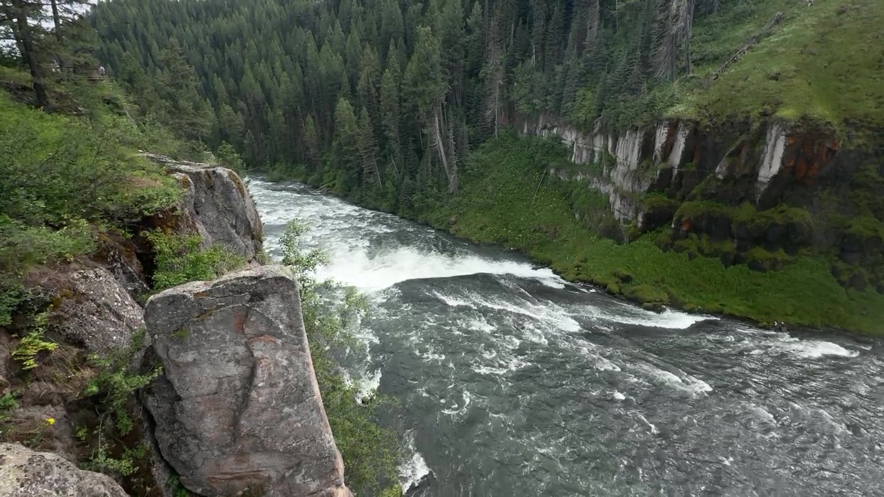Una vista panoramica del fiume Snake che attraversa un aspro canyon dell'Idaho, con rapide impetuose, ripidi pendii boscosi e pareti rocciose coperte di muschio. La composizione presenta lussureggianti alberi sempreverdi