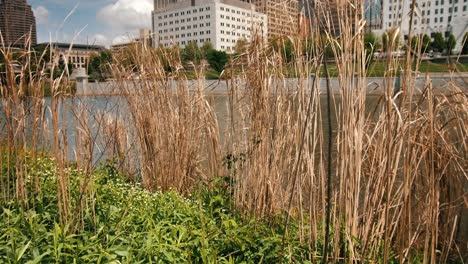 on bank of scioto river revealing recognizable skyscrapers of downtown columbus