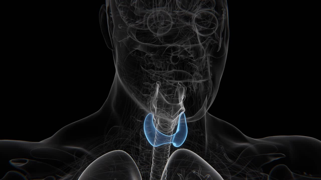 Da tiroide normale a ipertiroidismo in video HD | Da normale a disturbi della tiroide in video HD